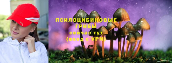 скорость Алзамай