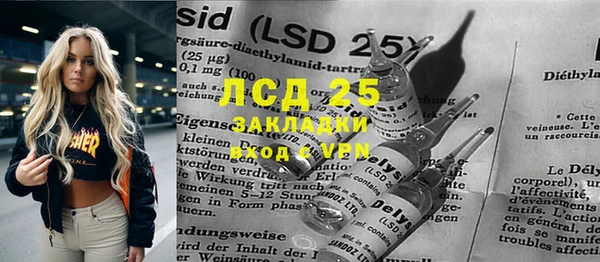 ГАЛЛЮЦИНОГЕННЫЕ ГРИБЫ Алексеевка