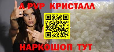 шишки Тара