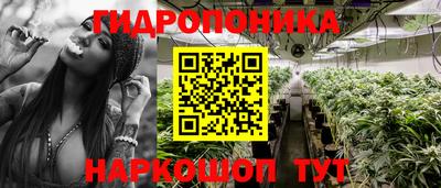 ПСИЛОЦИБИНОВЫЕ ГРИБЫ Тверь