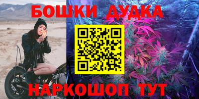шишки Тара