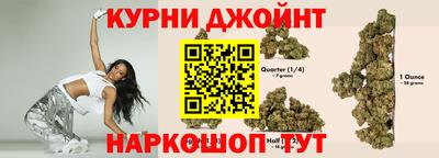 шишки Тара