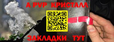 шишки Тара